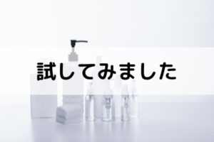 試してみました