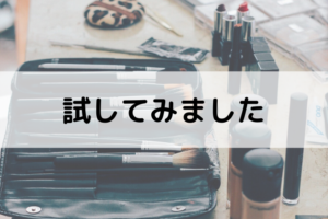 試してみました