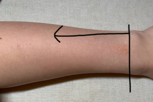 THREE_シマリンググローデュオ