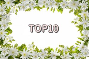top10