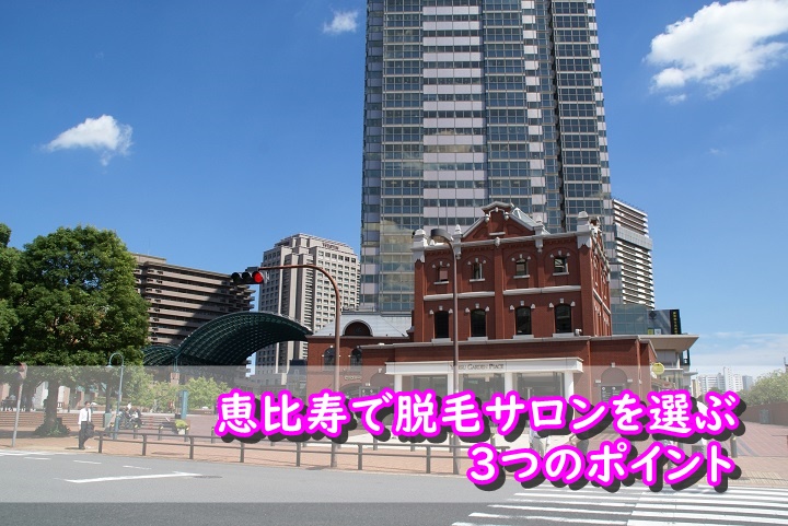 恵比寿でおすすめの脱毛サロン15選 安い 効果高いサロンをランキングで紹介 口コミと独自調査で 知りたい が分かる生活情報サイト レヴィレヴィ