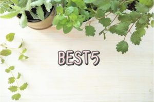 BEST5