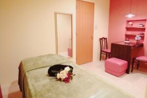 アイールグレーホットベッパービューティ