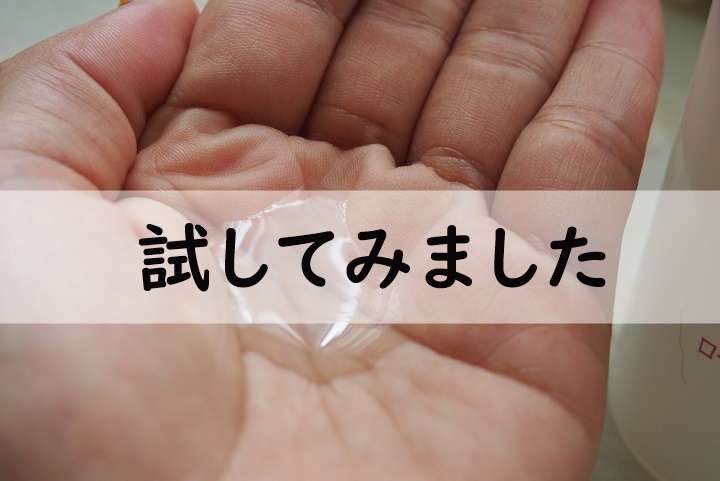 試してみました