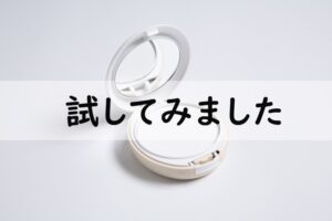 試してみました