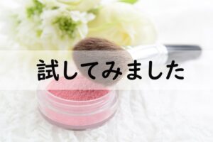 試してみました