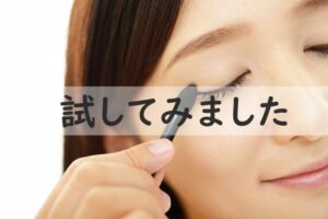 試してみました