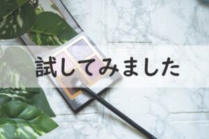 試してみました