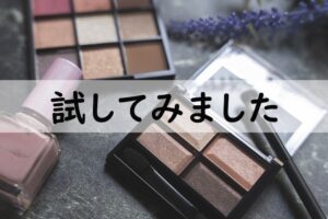 試してみました