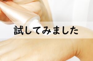 試してみました