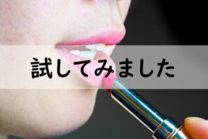 試してみました