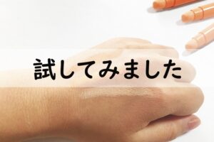 試してみました