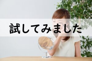 試してみました