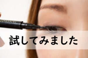 試してみました