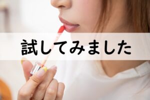 試してみました