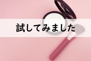 試してみました