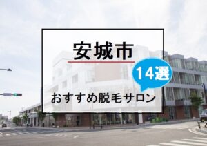 安城市の風景画像