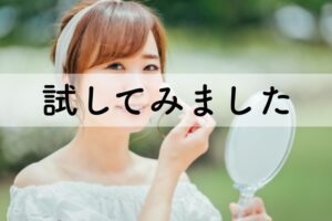 試してみました