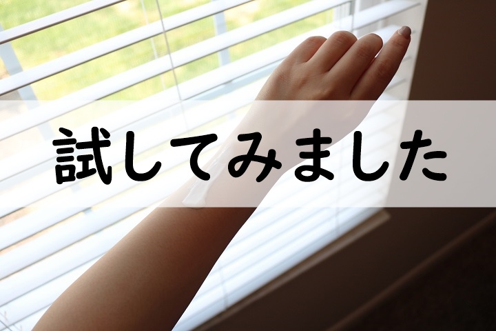 試してみました