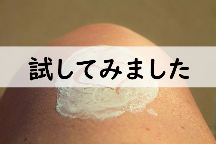 試してみました