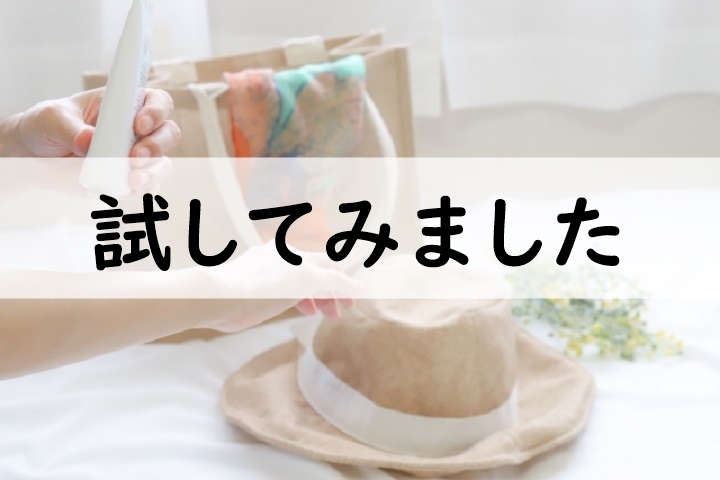 試してみました