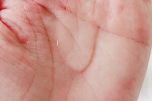 minonおすすめ１