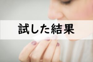 試した結果