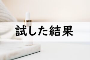 試した結果