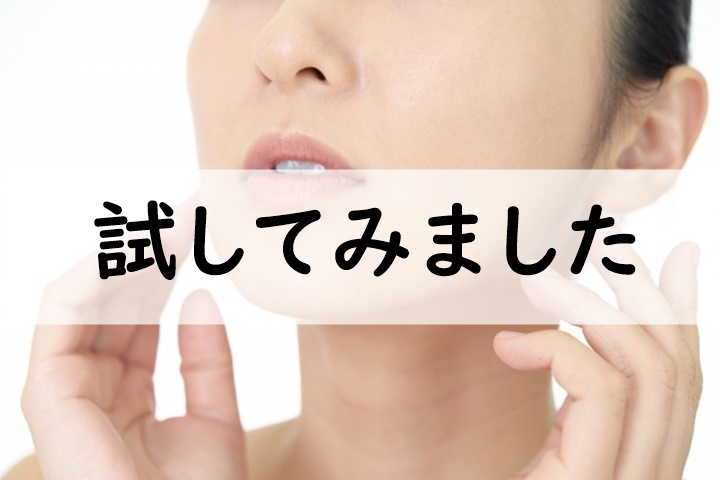 試してみました