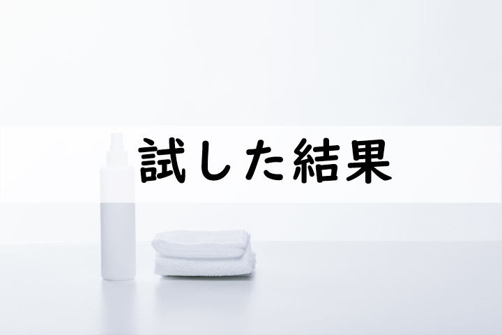 試してみました