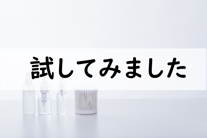試してみました