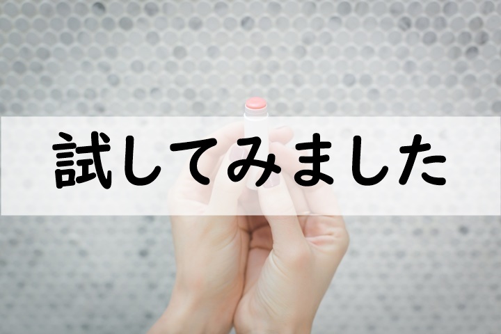 試してみました