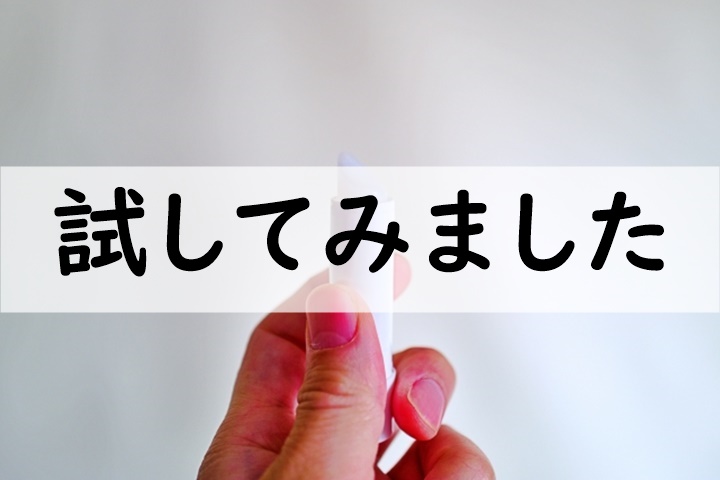 試してみました