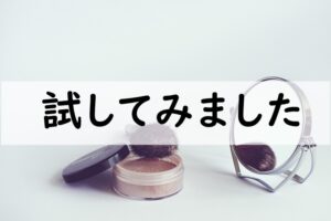 試してみました