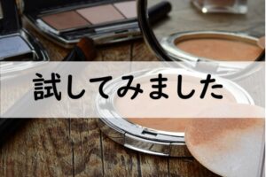 試してみました