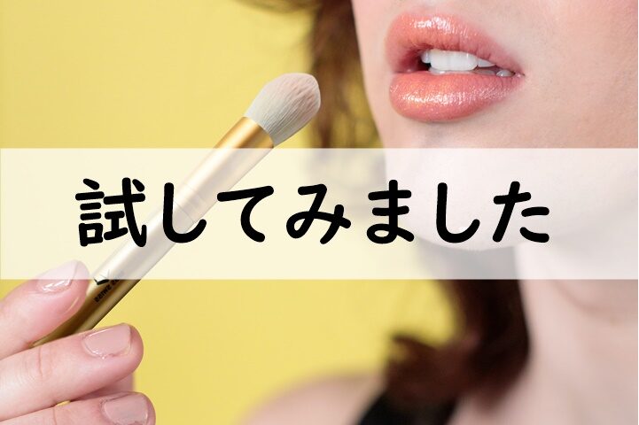 試してみました