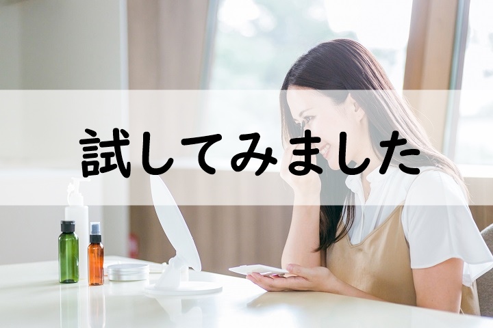 試してみました