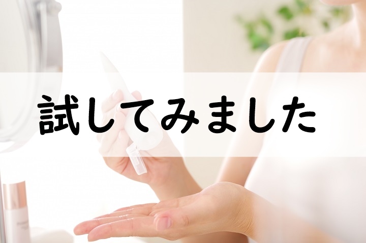 試してみました