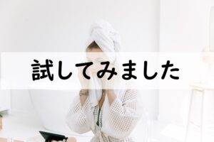 試してみました