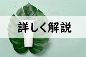 詳しく解説