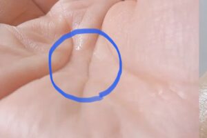 aplinおすすめの使い方1