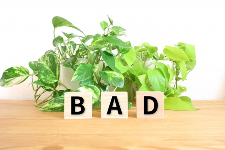 bad