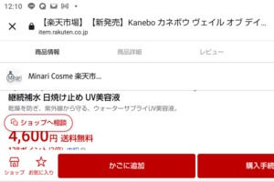 kanebo金額