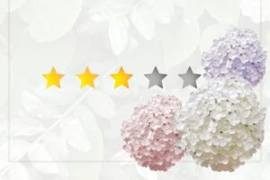 評価3