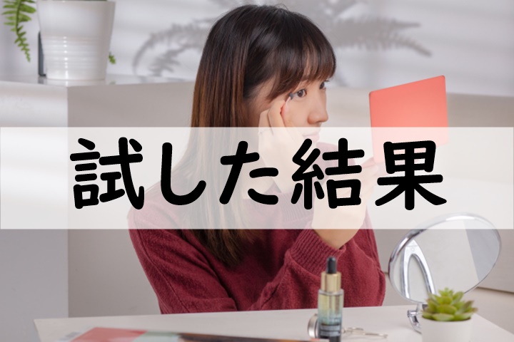 試した結果