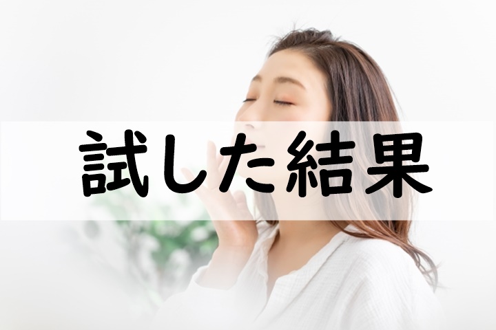 試した結果