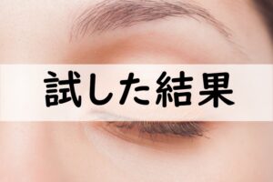 試した結果