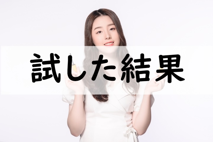 試した結果