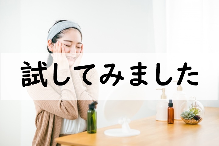 試してみました