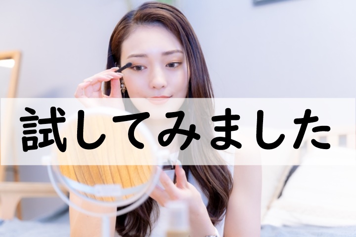 試してみました
